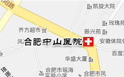 �Ϸ���ɽ�t(y��)Ժ��ַ