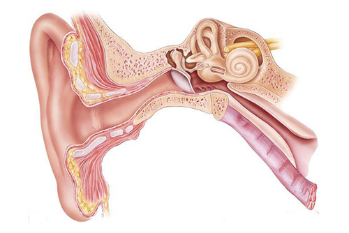 一年一度愛(ài)耳日，今年關(guān)愛(ài)不一般