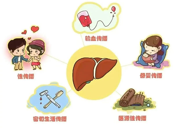 世界肝炎日丨守護(hù)健康肝臟，科學(xué)預(yù)防肝炎