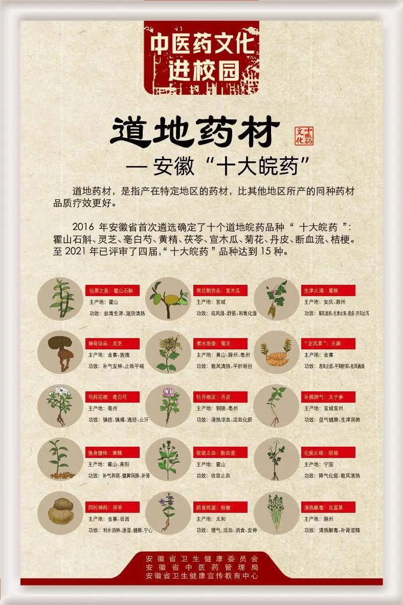 安徽中醫(yī)藥宣傳周｜這些養(yǎng)生小知識你知道嗎？