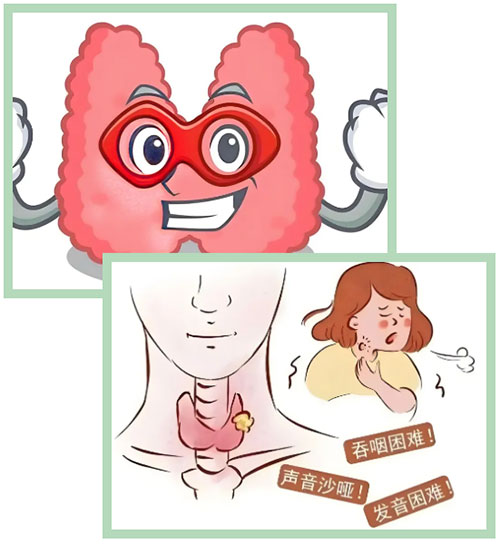 【惠民科普】“溫柔的癌癥”——甲狀腺癌